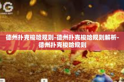 德州扑克梭哈规则-德州扑克梭哈规则解析-德州扑克梭哈规则