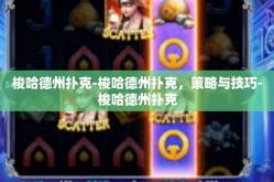 梭哈德州扑克-梭哈德州扑克，策略与技巧-梭哈德州扑克