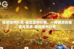 梭哈德州扑克-梭哈德州扑克，一种博弈的策略与艺术-梭哈德州扑克
