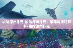 梭哈德州扑克-梭哈德州扑克，策略与技巧解析-梭哈德州扑克