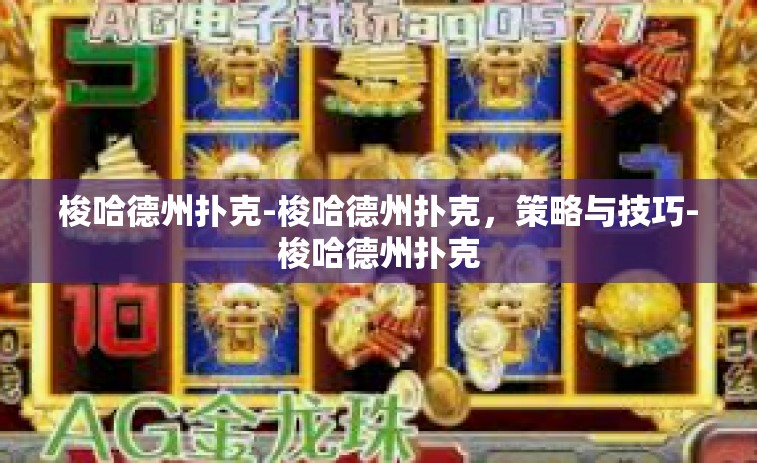 梭哈德州扑克-梭哈德州扑克，策略与技巧-梭哈德州扑克