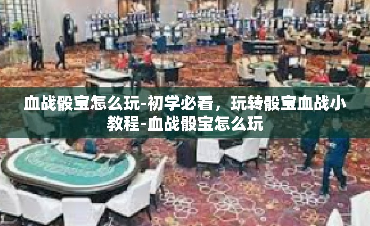 血战骰宝怎么玩-初学必看，玩转骰宝血战小教程-血战骰宝怎么玩