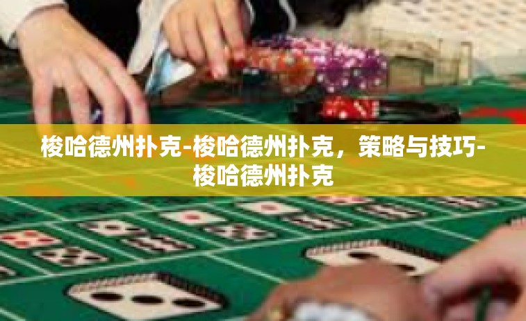 梭哈德州扑克-梭哈德州扑克，策略与技巧-梭哈德州扑克