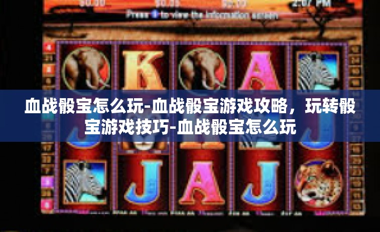 血战骰宝怎么玩-血战骰宝游戏攻略，玩转骰宝游戏技巧-血战骰宝怎么玩