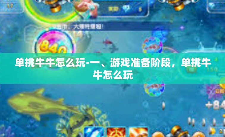 单挑牛牛怎么玩-一、游戏准备阶段，单挑牛牛怎么玩