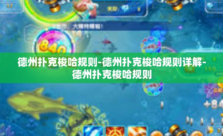 德州扑克梭哈规则-德州扑克梭哈规则详解-德州扑克梭哈规则
