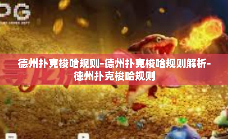 德州扑克梭哈规则-德州扑克梭哈规则解析-德州扑克梭哈规则