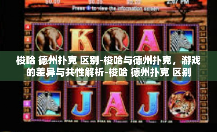梭哈 德州扑克 区别-梭哈与德州扑克，游戏的差异与共性解析-梭哈 德州扑克 区别