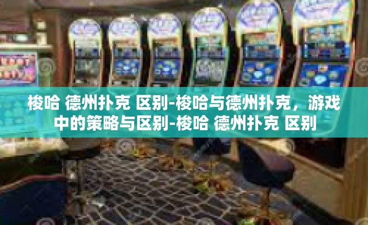 梭哈 德州扑克 区别-梭哈与德州扑克，游戏中的策略与区别-梭哈 德州扑克 区别