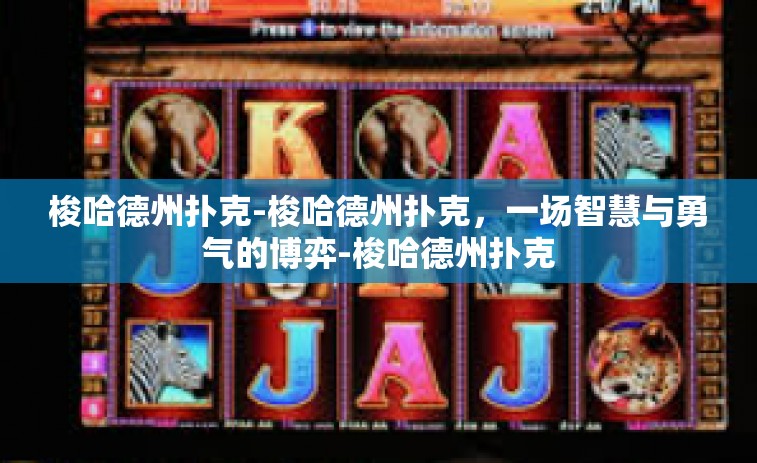 梭哈德州扑克-梭哈德州扑克,一场智慧与勇气的博弈-梭哈德州扑克 梭哈德州扑克-梭哈德州扑克,一场智慧与勇气的博弈-梭哈德州扑克